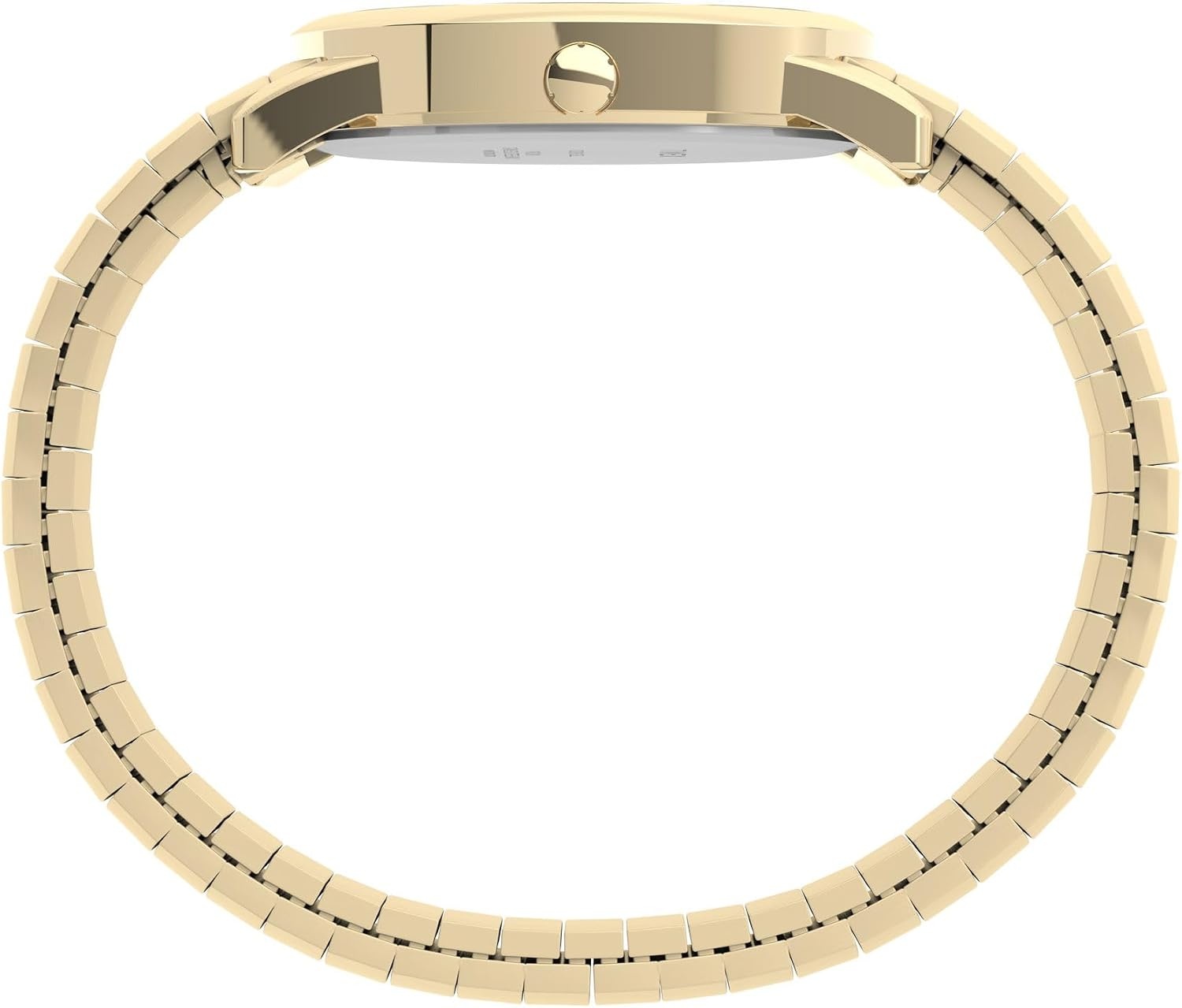 image:imageTimex Mens Easy Reader WatchGoldToneGoldToneWhiteB35mm
