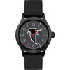Atlanta Falcons