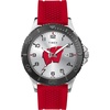 Wisconsin Badgers