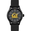 California Golden Bears