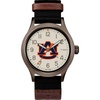 Auburn Tigers