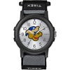 Kentucky Wildcats